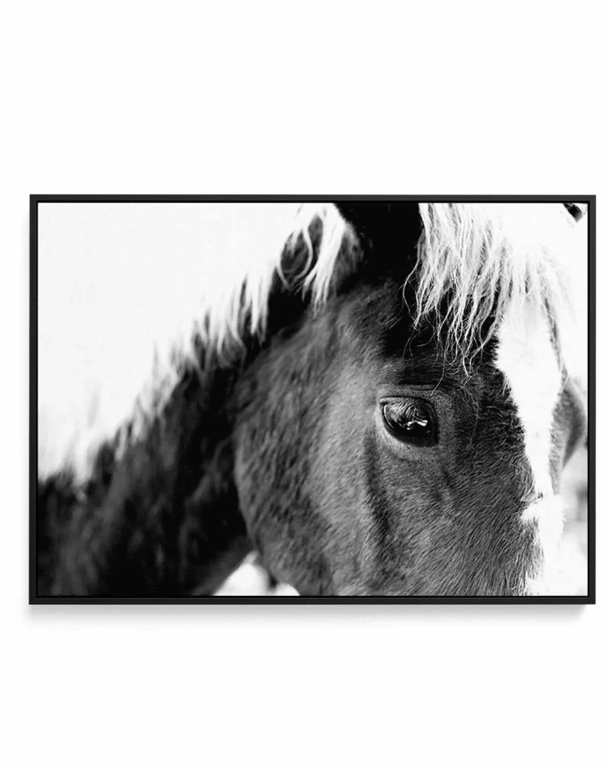 Aiko B&W | Framed Canvas Art Print