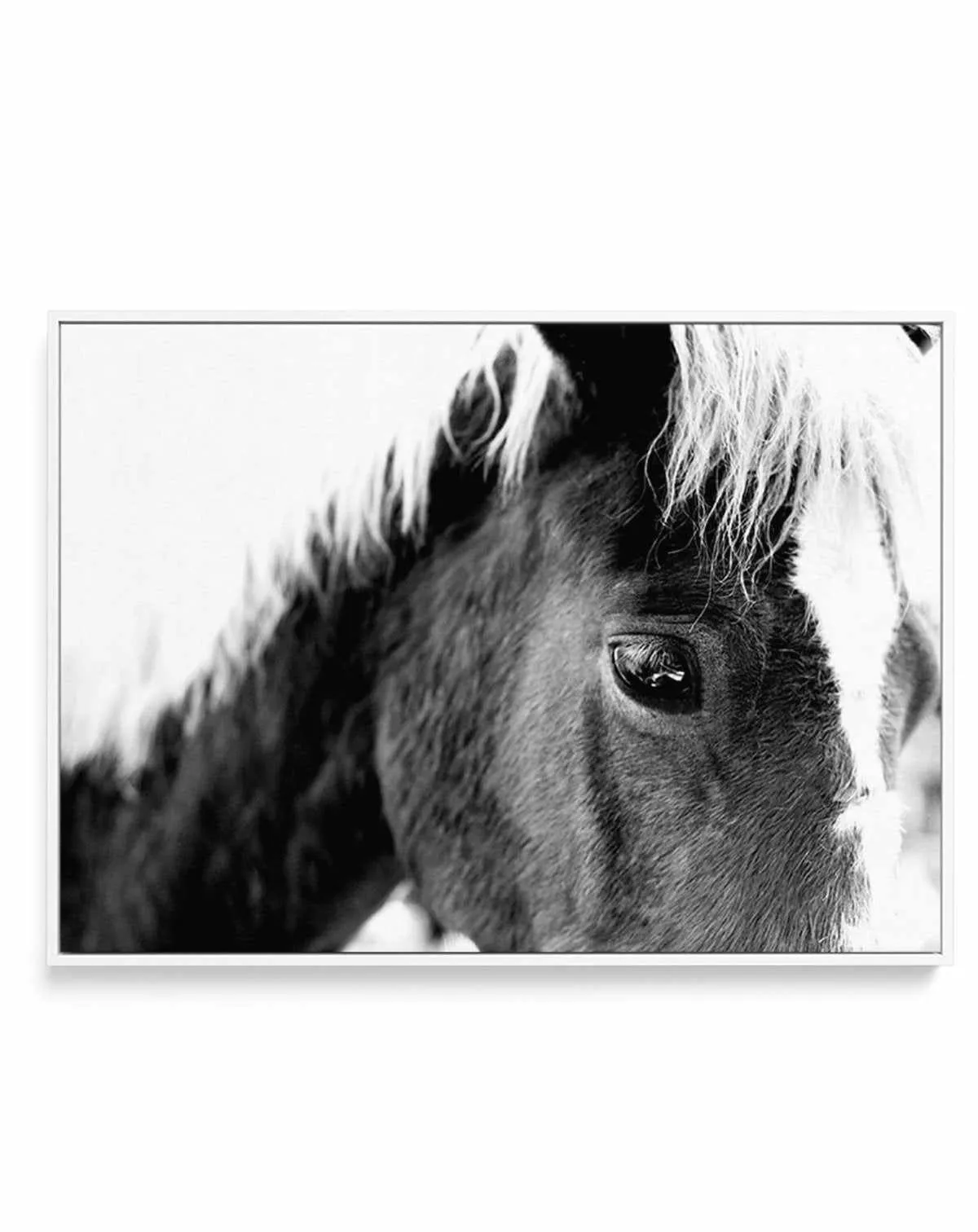 Aiko B&W | Framed Canvas Art Print