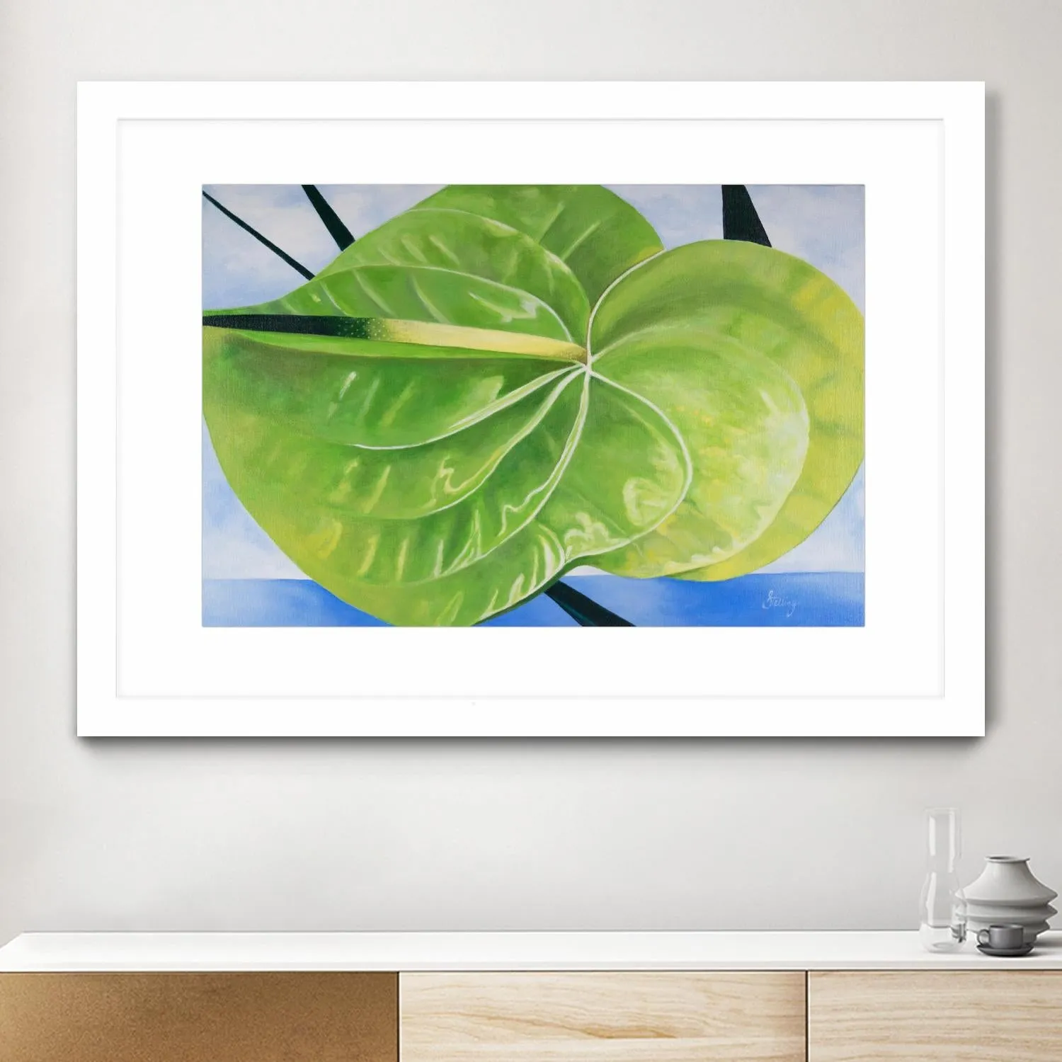 ANTHURIUM