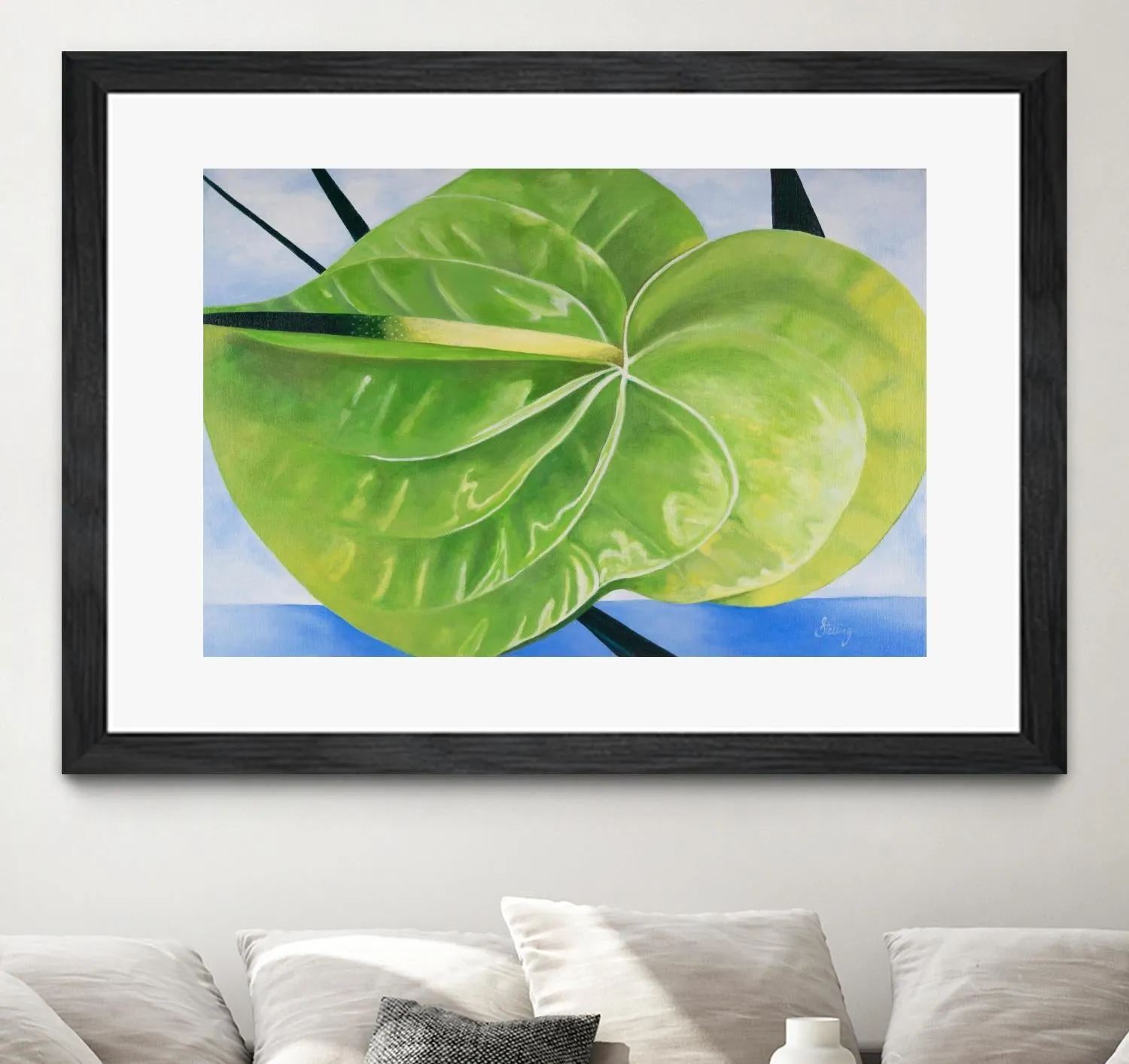 ANTHURIUM