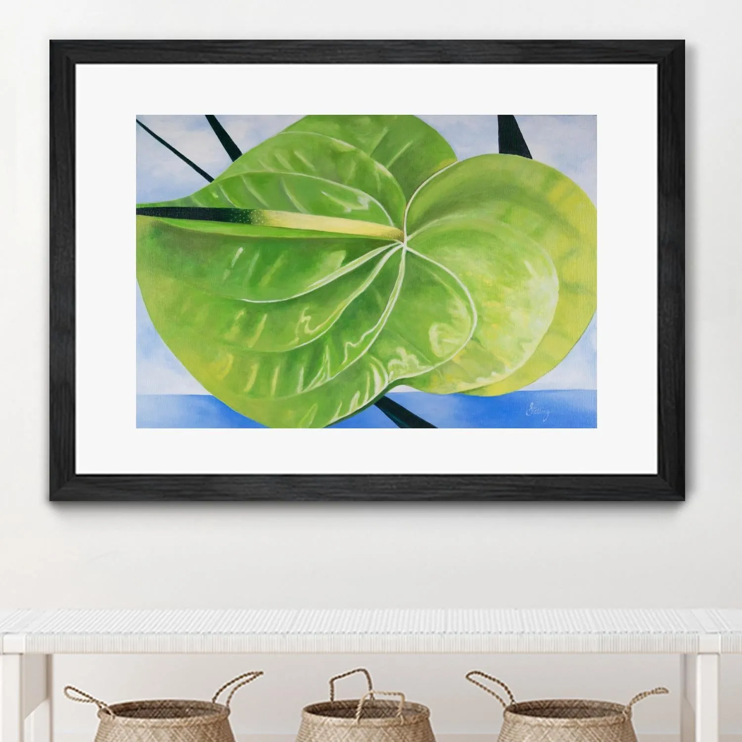 ANTHURIUM