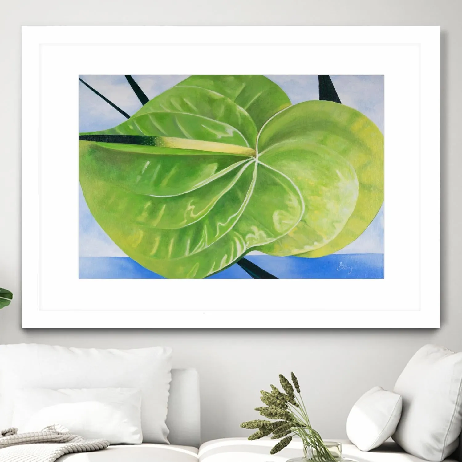 ANTHURIUM