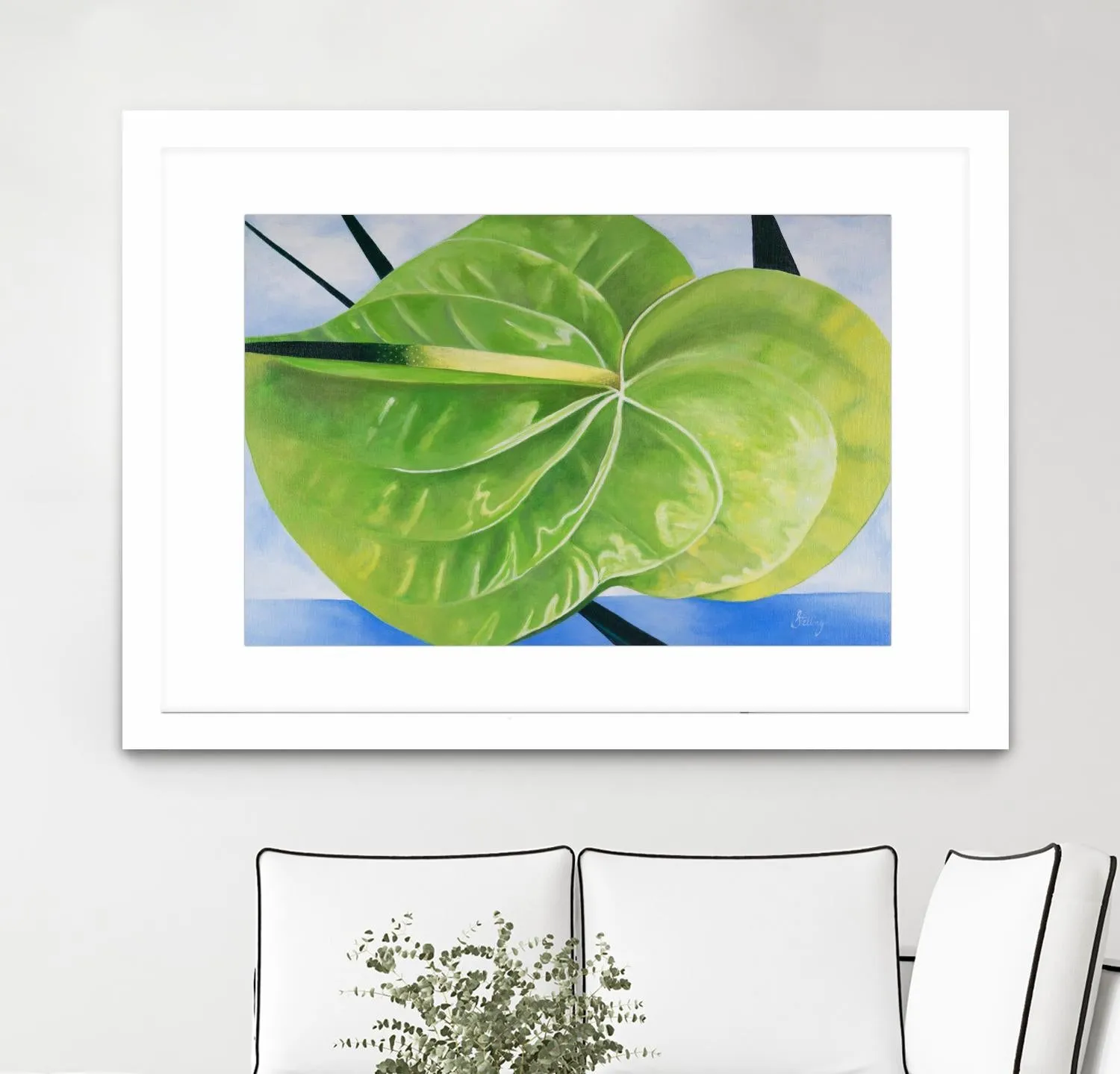 ANTHURIUM