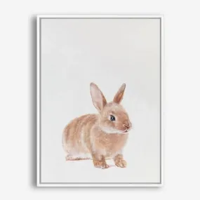 Baby Rabbit Canvas Print