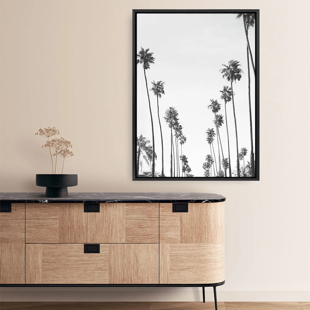 California Palms B&W Canvas Print