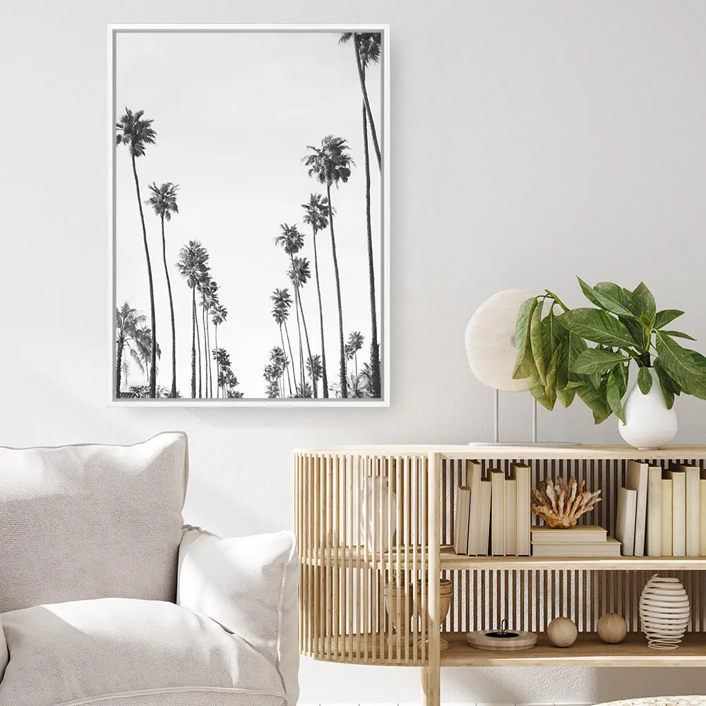 California Palms B&W Canvas Print