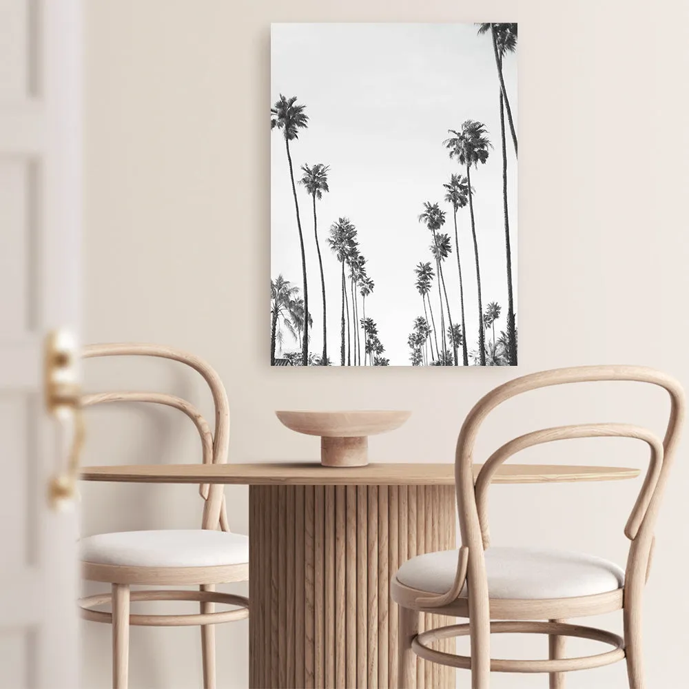 California Palms B&W Canvas Print