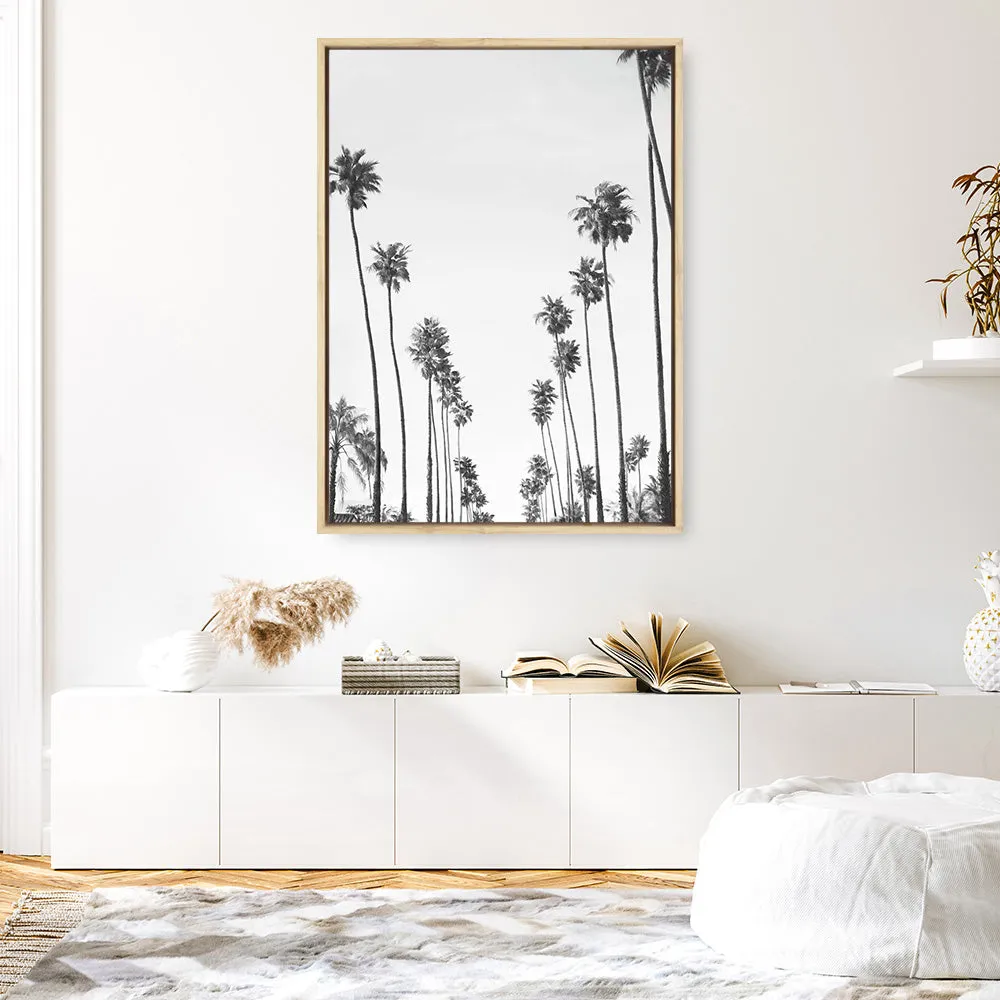 California Palms B&W Canvas Print