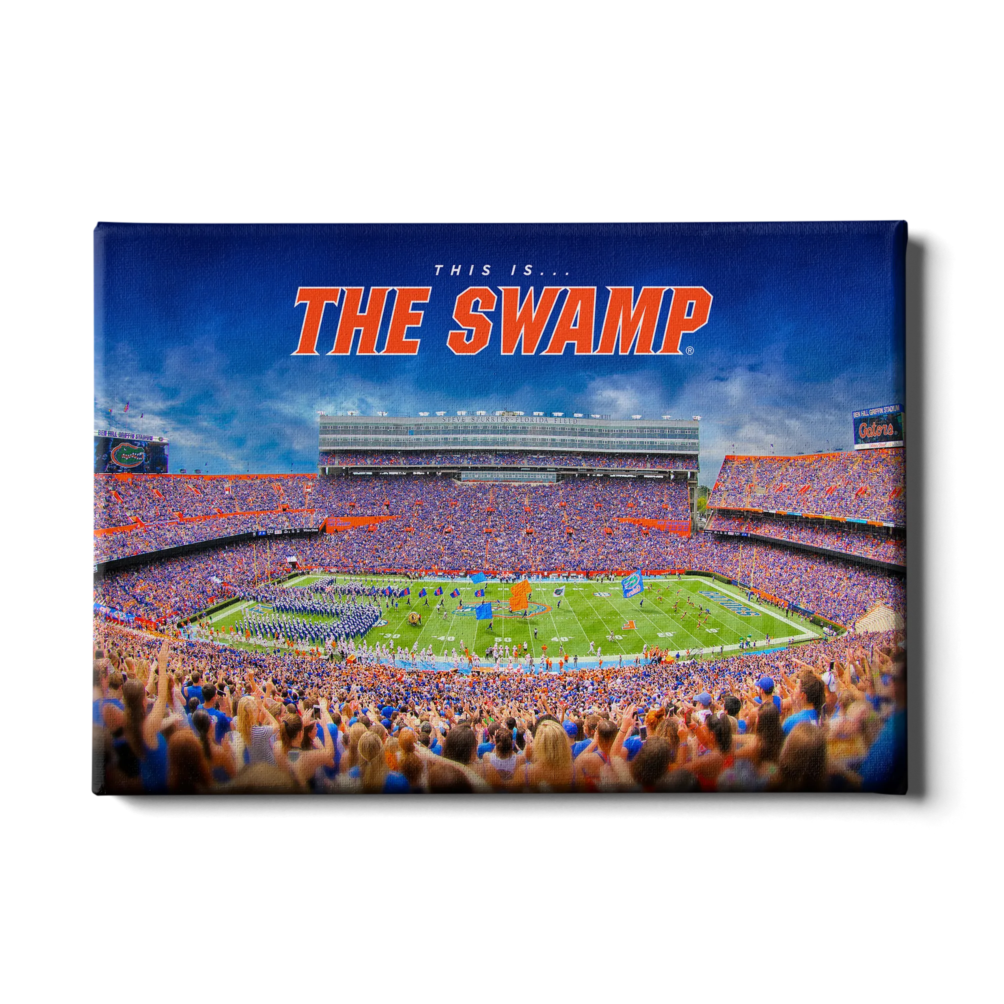 Florida Gators - The Swamp