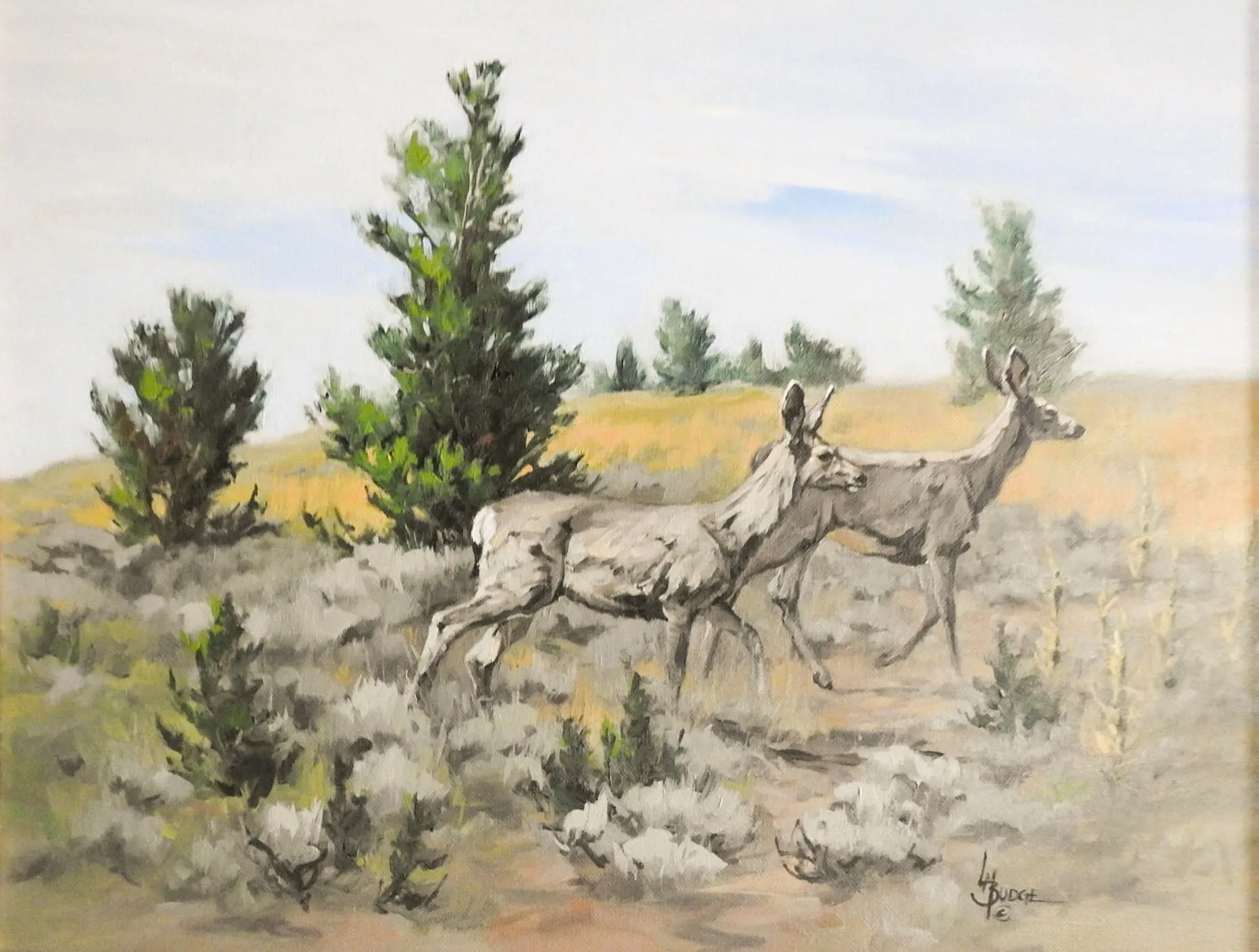 Mule Deer Painting By Linda Budge